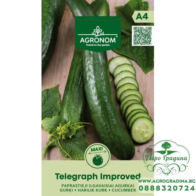 Краставици Телеграф Подобрени / Telegraph Improved