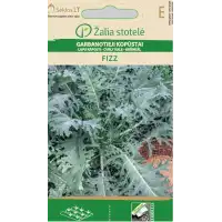 Кейл (Къдраво зеле) Fizz / Brassica oleracea