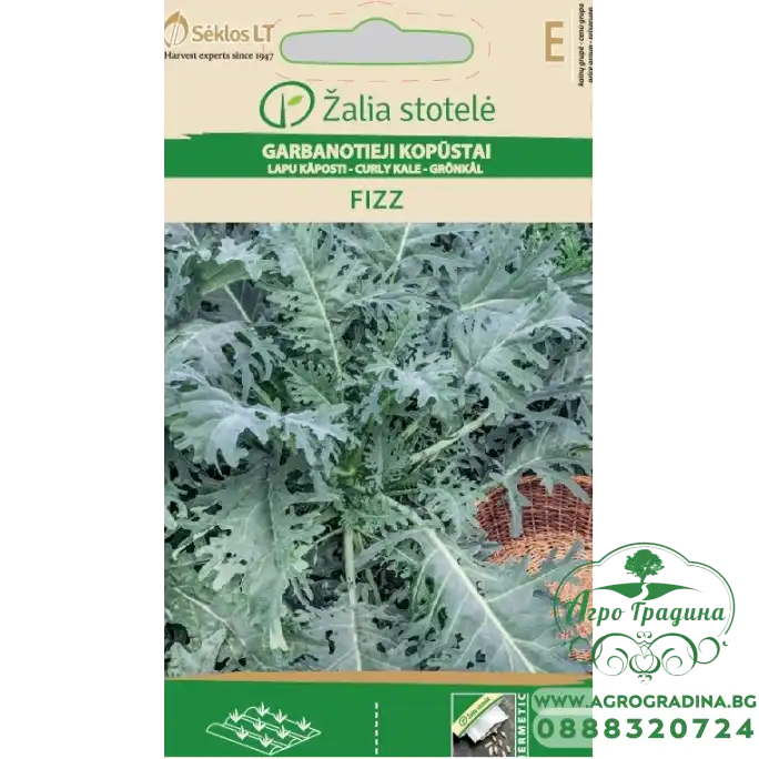 Кейл (Къдраво зеле) Fizz Brassica oleracea