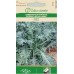 Кейл (Къдраво зеле) Fizz / Brassica oleracea