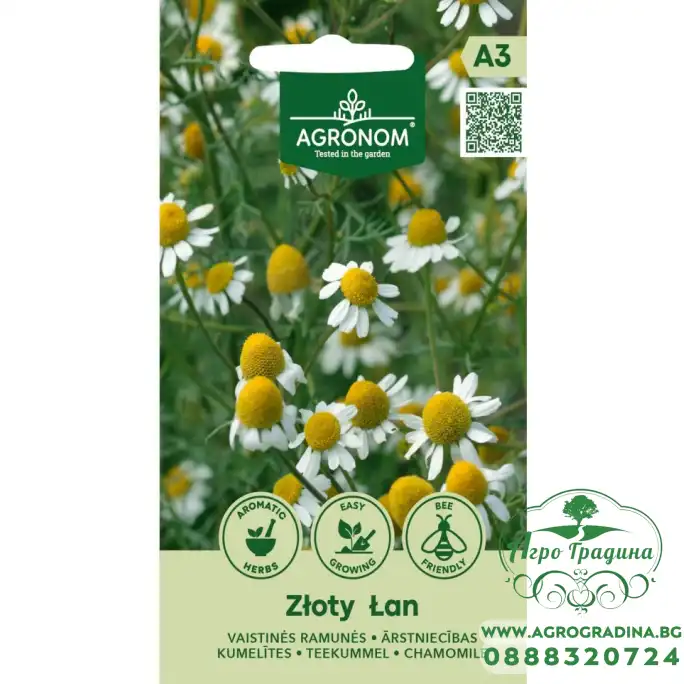 Медицинска Лайка Matricaria recutita