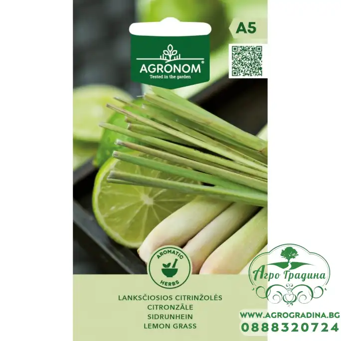 Лимонена трева Lemon grass
