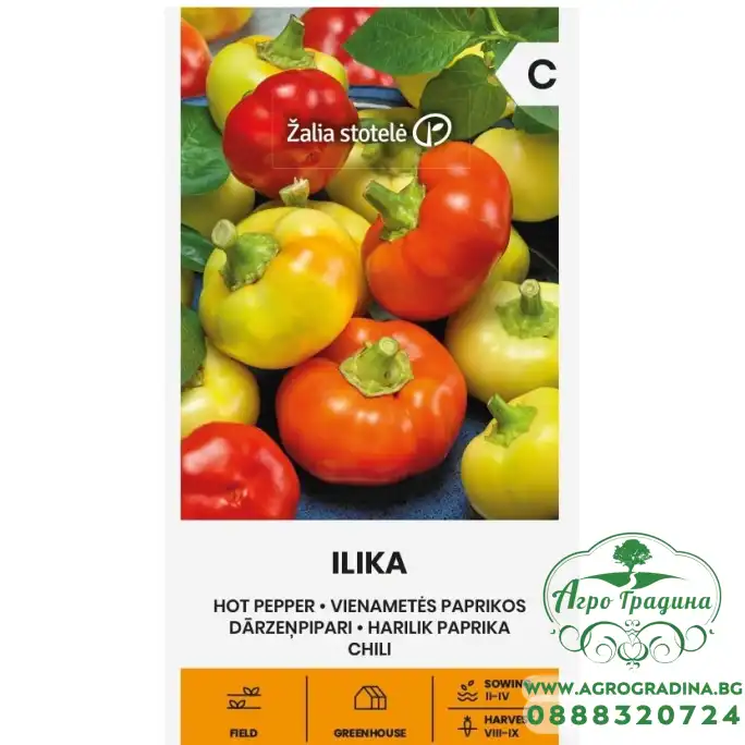 Лют пипер Илика / Ilika