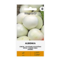 Лук Албиенка Allium cepa L Albienka