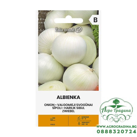 Лук Албиенка Allium cepa L Albienka