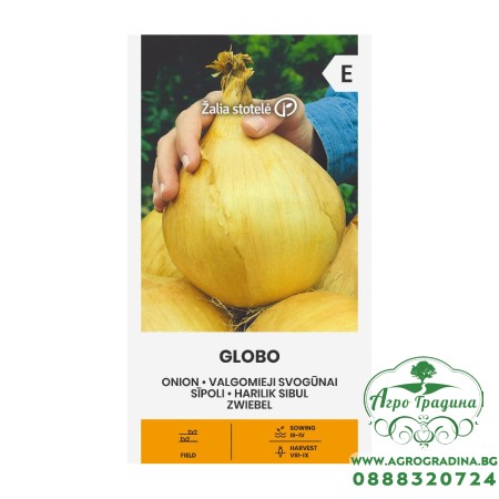 Лук Гигант Глобо Allium cepa L Globo