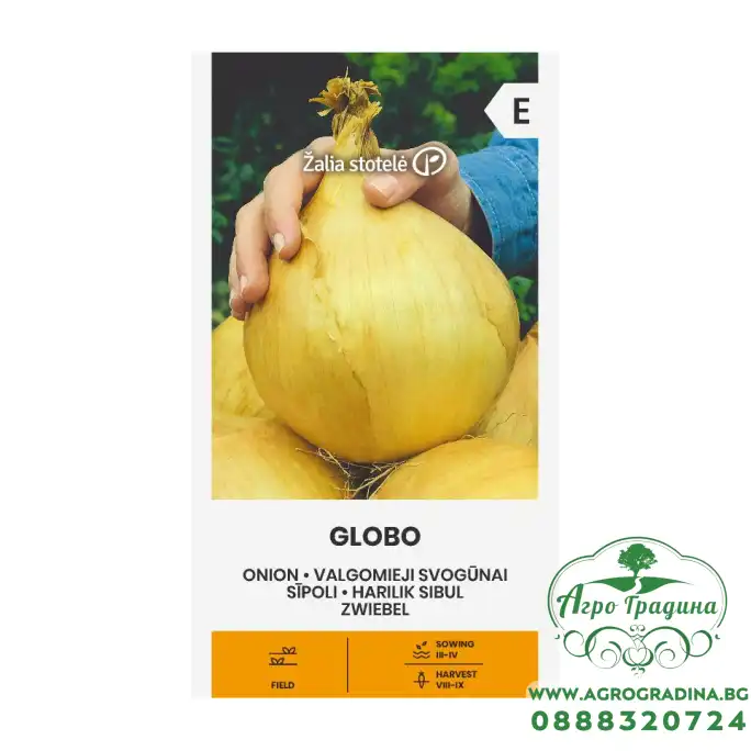 Лук Гигант Глобо Allium cepa L Globo