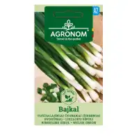 Лук за пера Байкал Allium fistulosum L Bajkal