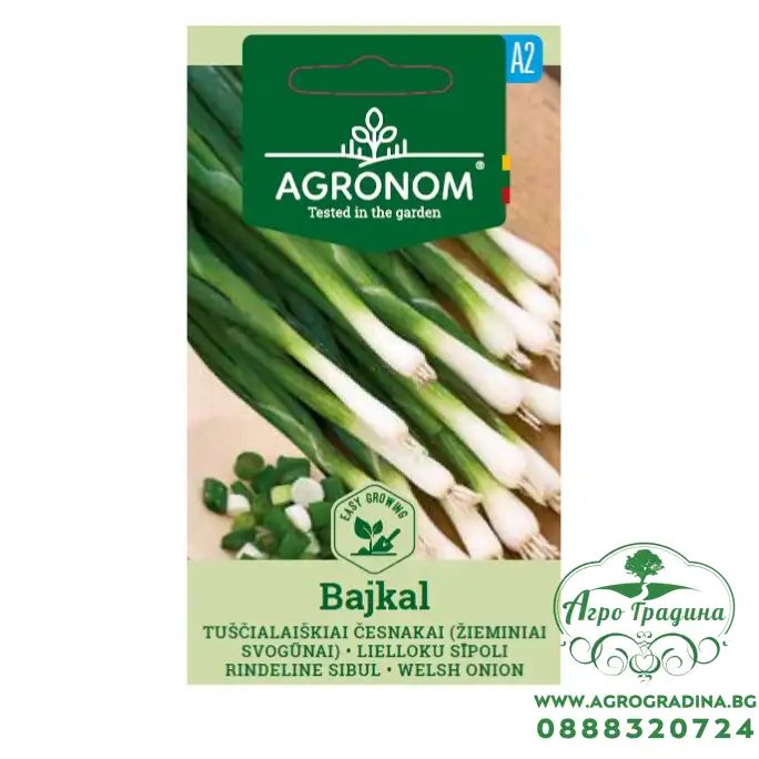 Лук за пера Байкал Allium fistulosum L Bajkal