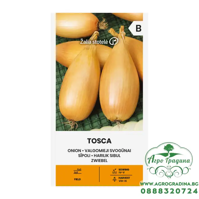 Лук Тоска Allium cepa L Tosca