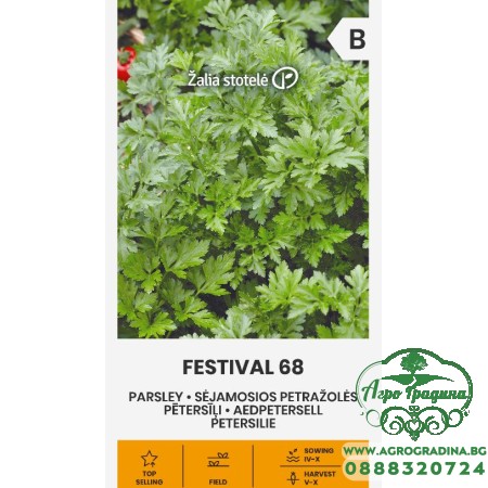 Магданоз Фестивал 68 / Festival 68