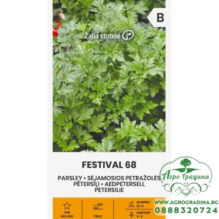 Магданоз Фестивал 68 Festival 68