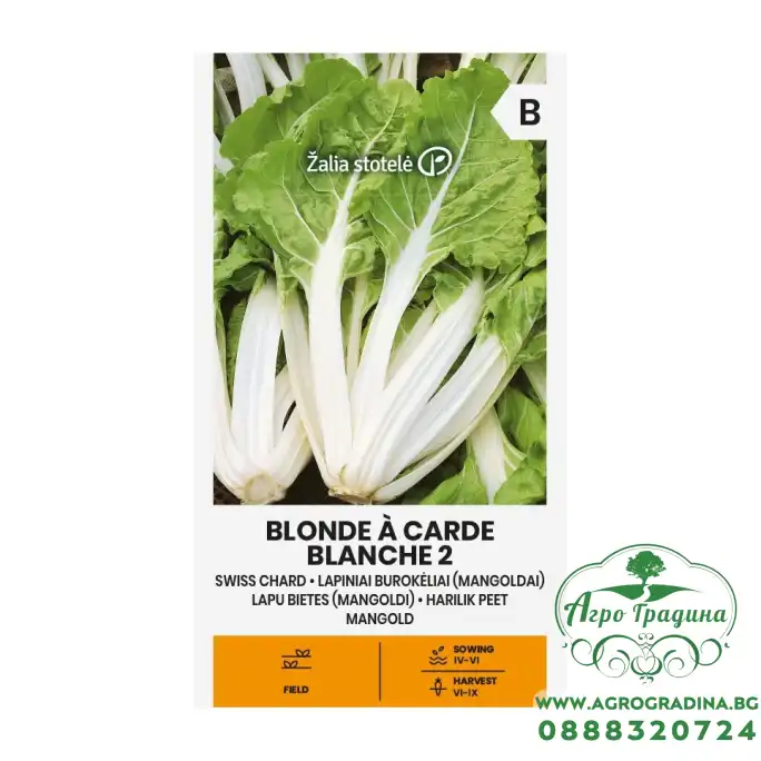 Манголд с бели дръжки Blonde à carde blanche 2 Манголд с бели дръжки Blonde à carde blanche 2
