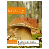 Мицел за Манатарка (Boletus edulis)