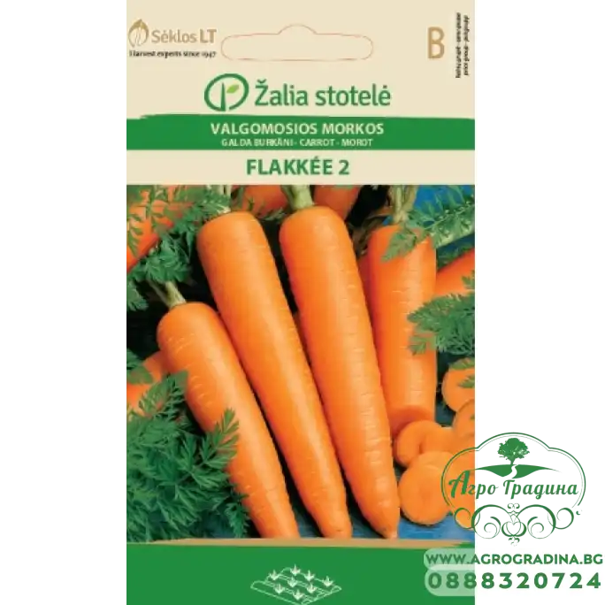 Моркови Флакер Flakkee