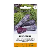 Моркови Лилаво слънце F1 Daucus carota Purple sun H