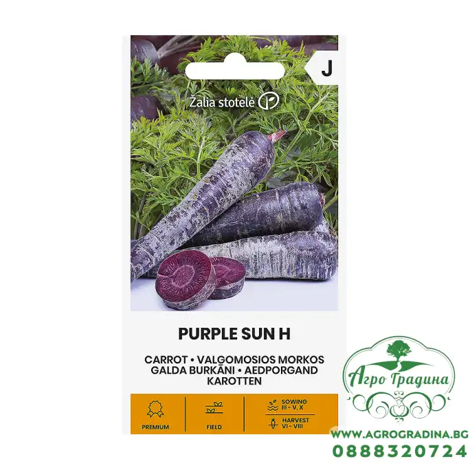 Моркови Лилаво слънце F1 / Daucus carota Purple sun H