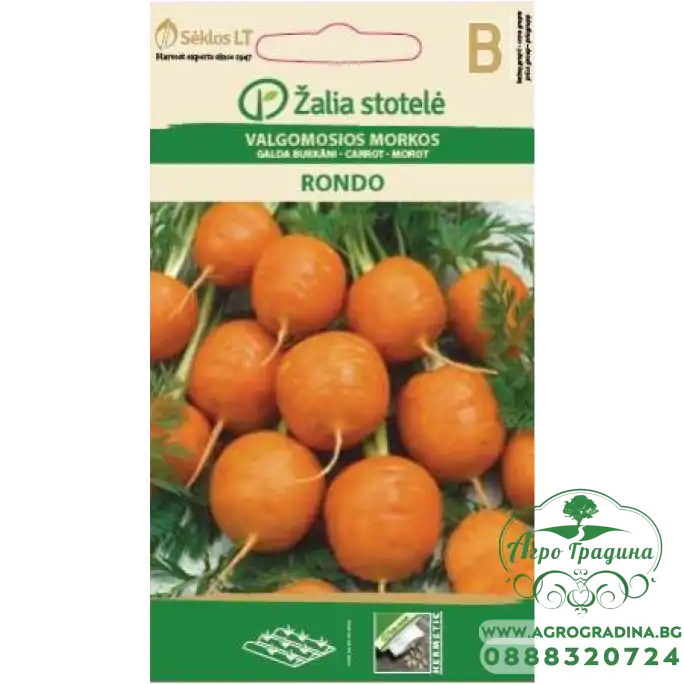 Моркови Кръгли Рондо / Rondo