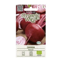 Органик Червено Цвекло Чиогия / Chioggia