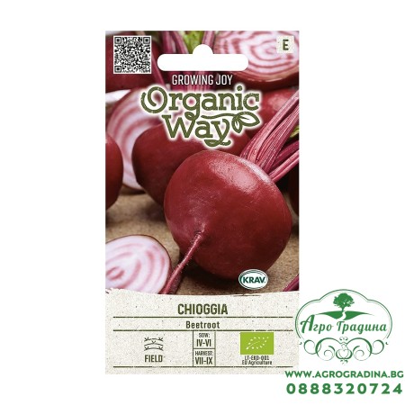 Органик Червено Цвекло Чиогия / Chioggia