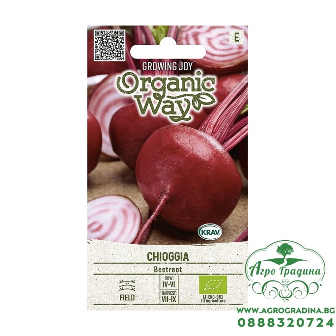 Органик Червено Цвекло Чиогия / Chioggia