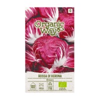 Органик Цикория Роса ди Верона / Rossa di Verona