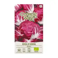 Органик Цикория Роса ди Верона Rossa di Verona