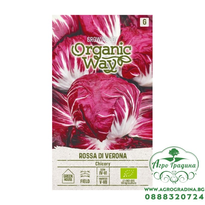 Органик Цикория Роса ди Верона / Rossa di Verona Органик Цикория Роса ди Верона / Rossa di Verona