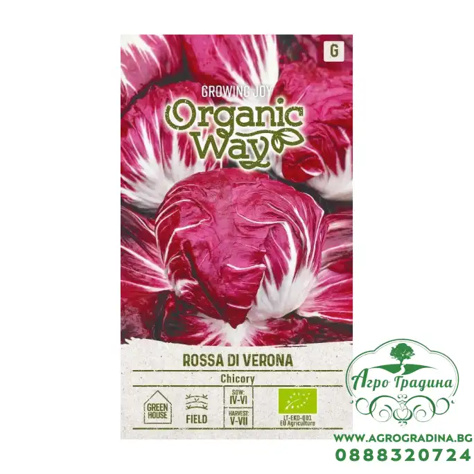 Органик Цикория Роса ди Верона / Rossa di Verona