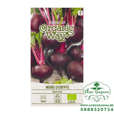 Органик Цвекло Черно Египетско / Noire d Egypte