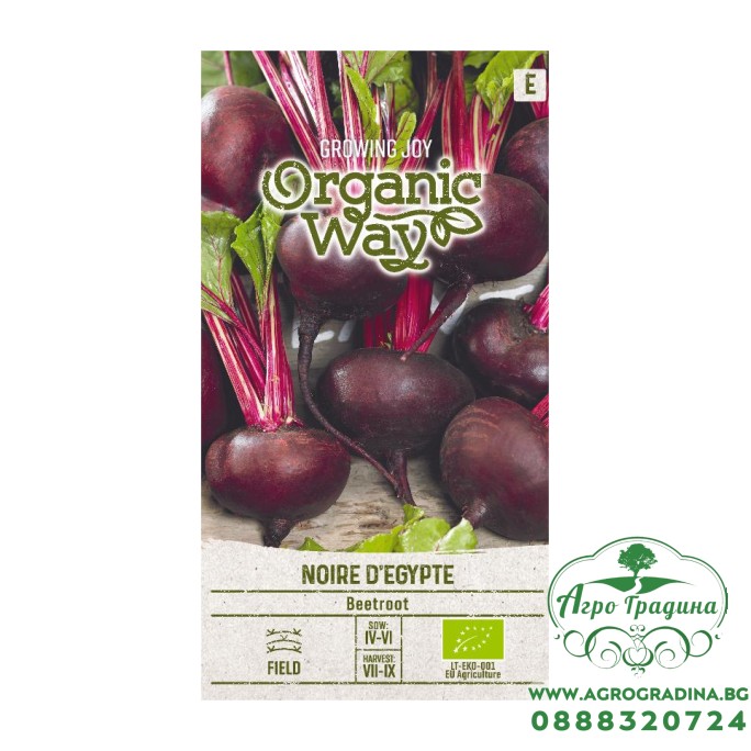 Органик Цвекло Черно Египетско / Noire d Egypte Органик Цвекло Черно Египетско / Noire d Egypte