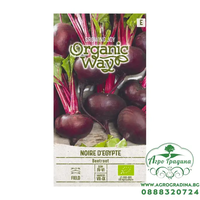 Органик Цвекло Черно Египетско / Noire d Egypte