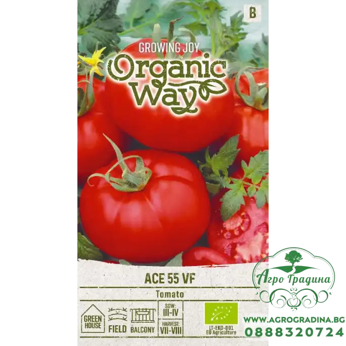 Органик Домати Аче 55 Ace 55 VF
