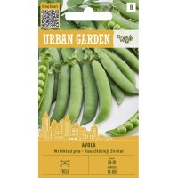 Органик Грах Авола / Avola - Urban garden