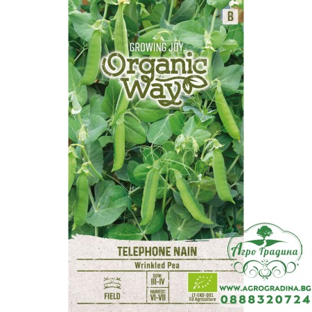 Органик Грах Телефон (джудже) / Pisum sativum L Telephone Nain