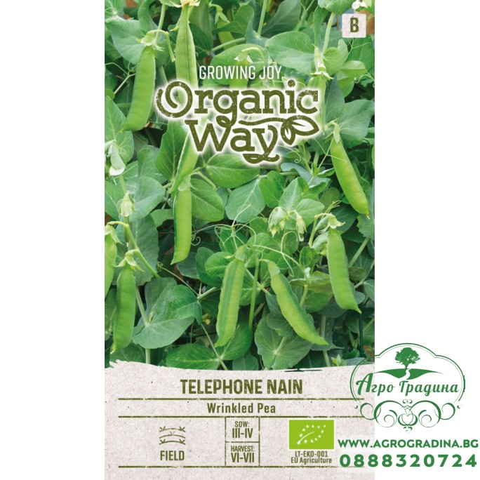 Органик Грах Телефон (джудже) / Pisum sativum L Telephone Nain