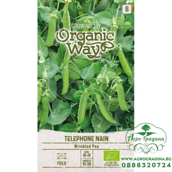 Органик Грах Телефон (джудже) Pisum sativum L Telephone Nain