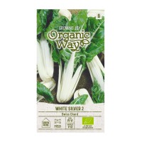 Органик Манголд Сребристо бял 2 / Beta vulgaris L White silver 2