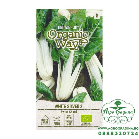 Органик Манголд Сребристо бял 2 / Beta vulgaris L White silver 2