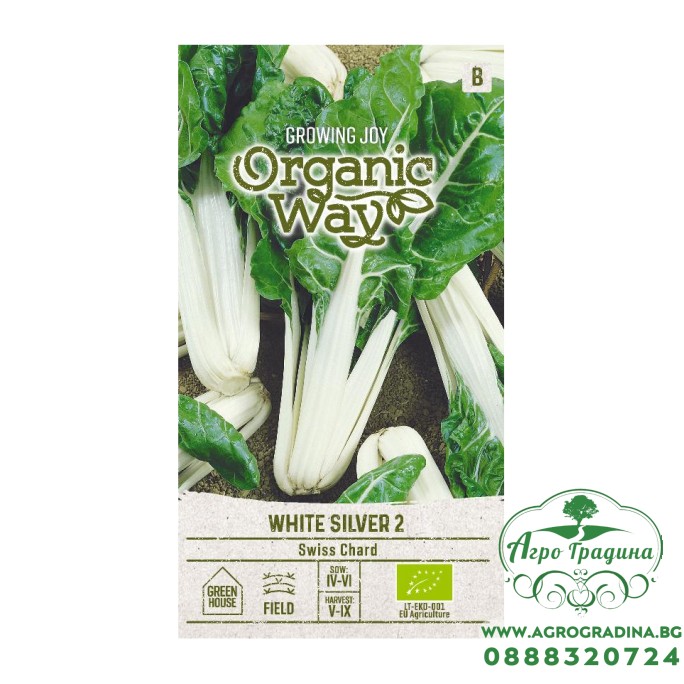 Органик Манголд Сребристо бял 2 / Beta vulgaris L White silver 2