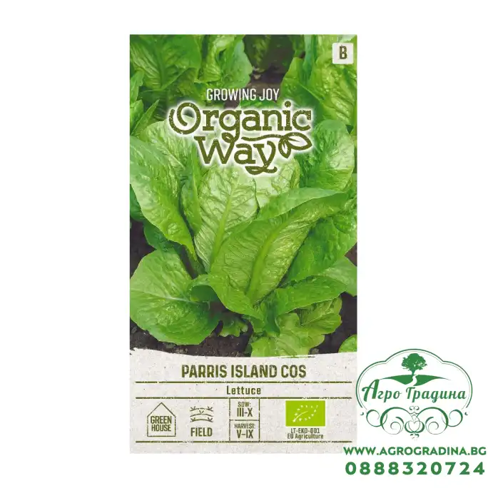 Органик Салата Парис остров Кос Parris Island Cos Органик Салата Парис остров Кос Parris Island Cos