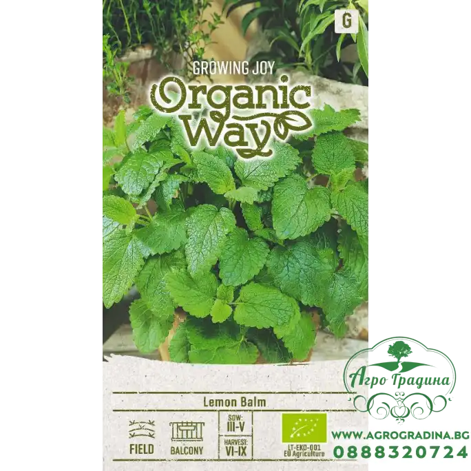 Органик Маточина Лимон Melissa officinalis