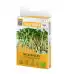 Органик семена Микро Слънчоглед Тини Стар Helianthus annuus L - Urban garden – БИО семена