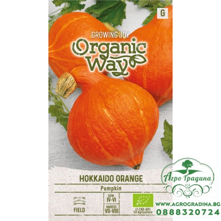 Органик Тиква Hokkaido Orange Cucurbita Maxima Duchesne