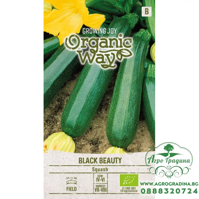 Органик Тиквичка Блек Бюти Black Beauty