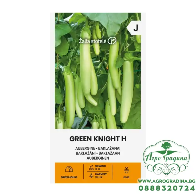 Патладжан Зелен рицар F1 Green Knight H