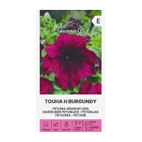 Петуния Едроцветна Touha H Burgundy F1