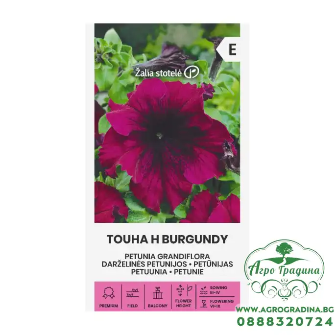 Петуния Едроцветна Touha H Burgundy F1 Петуния Едроцветна Touha H Burgundy F1