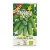 Органик Краставици Пиколо Верде Ди Парижи / Piccolo verde di Parigi