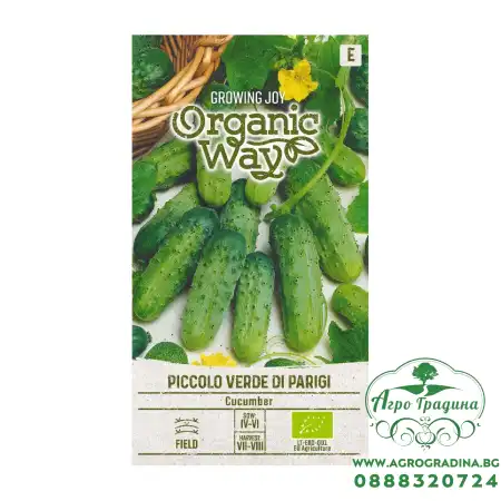 Органик Краставици Пиколо Верде Ди Парижи Piccolo verde di Parigi